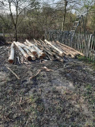 gartenrevolte Hummelgarten Speyer