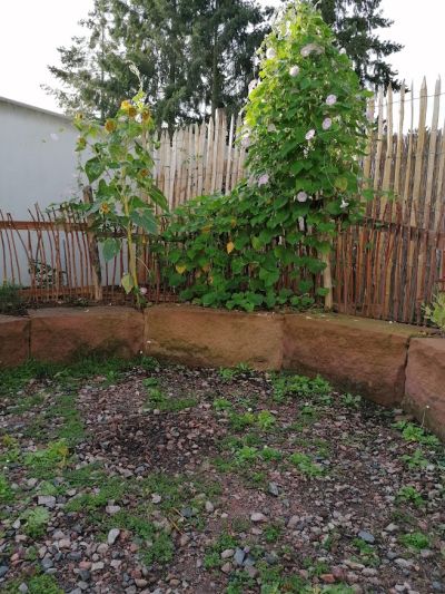 gartenrevolte Garten Speyer