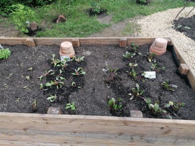 gartenrevolte Schule Altrip