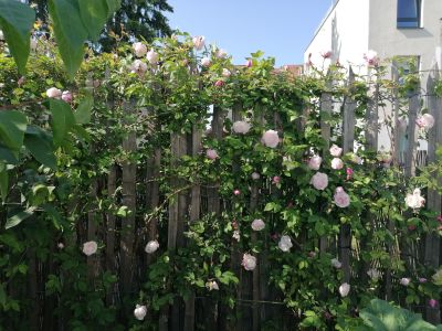 gartenrevolte Garten Speyer