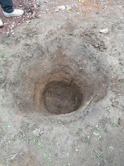 gartenrevolte Hummelgarten Speyer