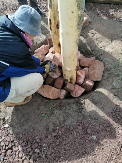 gartenrevolte Hummelgarten Speyer