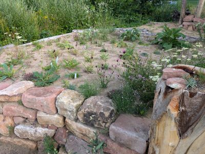 gartenrevolte Hummelgarten Speyer