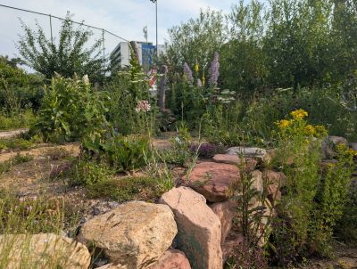 gartenrevolte Hummelgarten Speyer