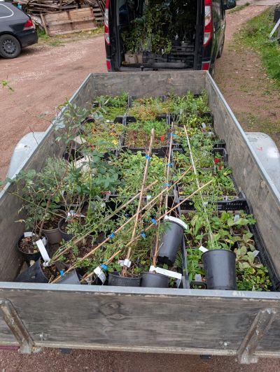 gartenrevolte Privatgarten Maxdorf