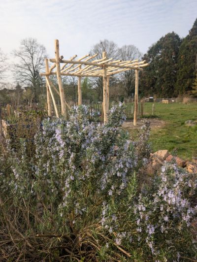 gartenrevolte Hummelgarten Speyer